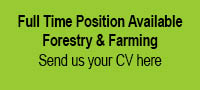 Forestry Job available Perth Blairgowrie Forestry Job available Perth Blairgowrie