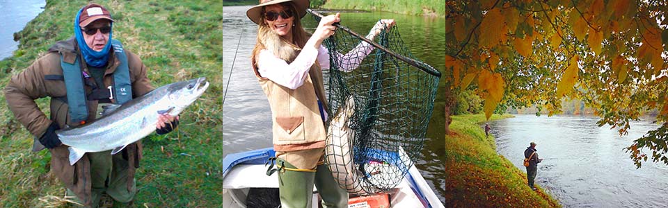 Salmon Fishing River Tay Meikleour